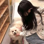 跳跃战士之超越极限九游版下载